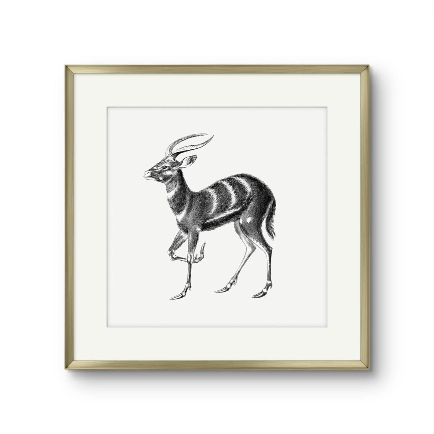 Vintage Stag