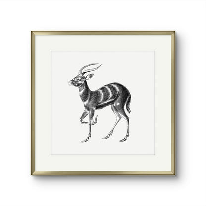 Vintage Stag