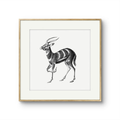 Vintage Stag