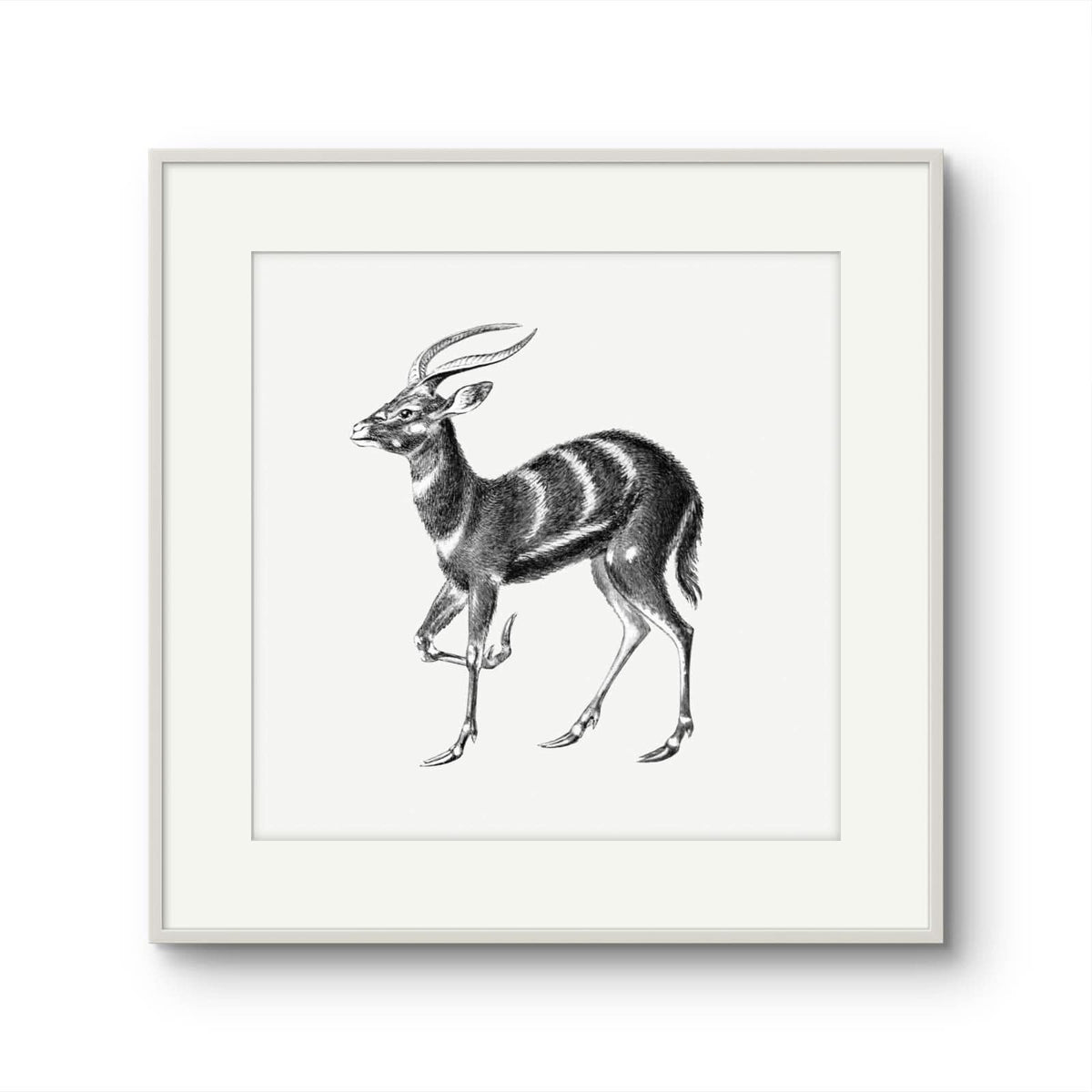 Vintage Stag
