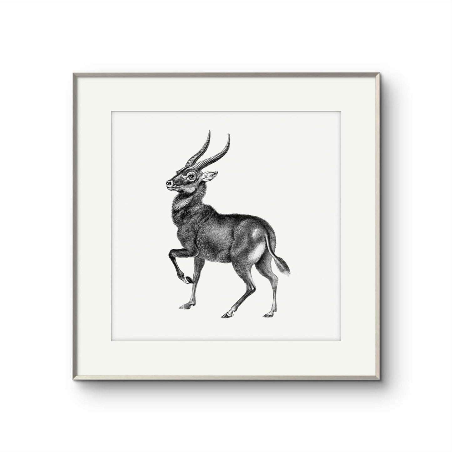 Vintage Deer