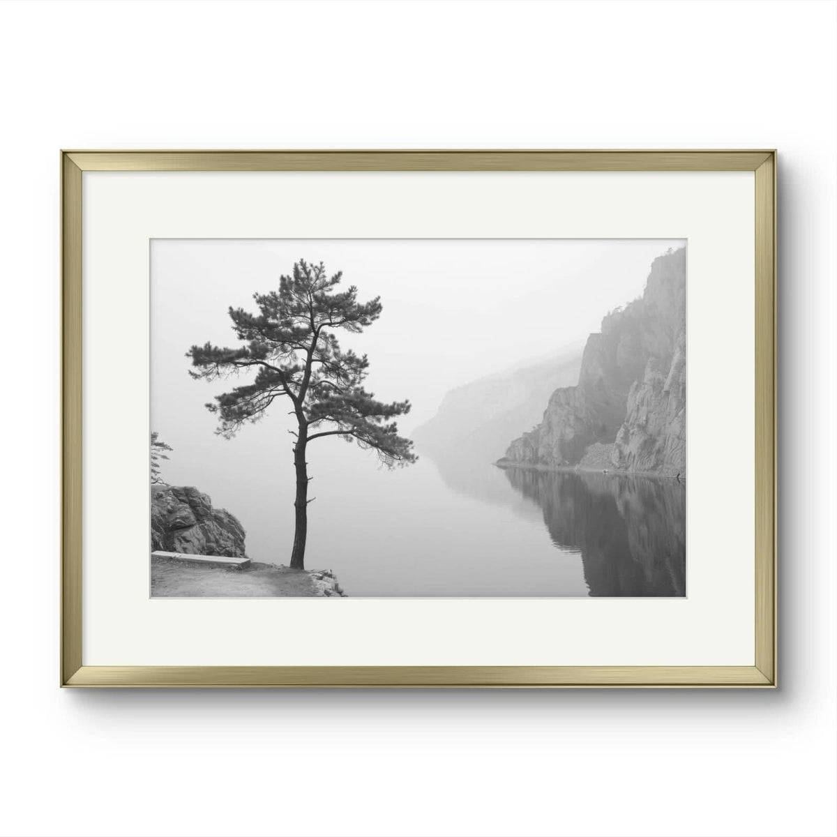 Tree on a lake