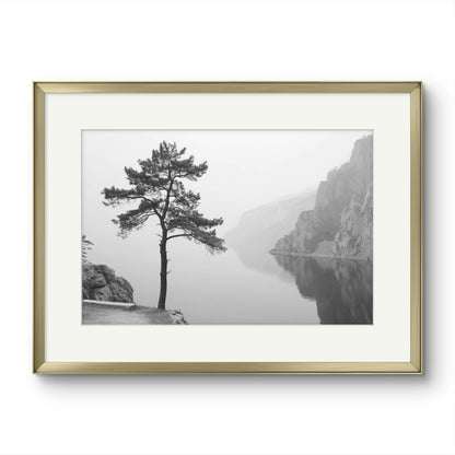 Tree on a lake