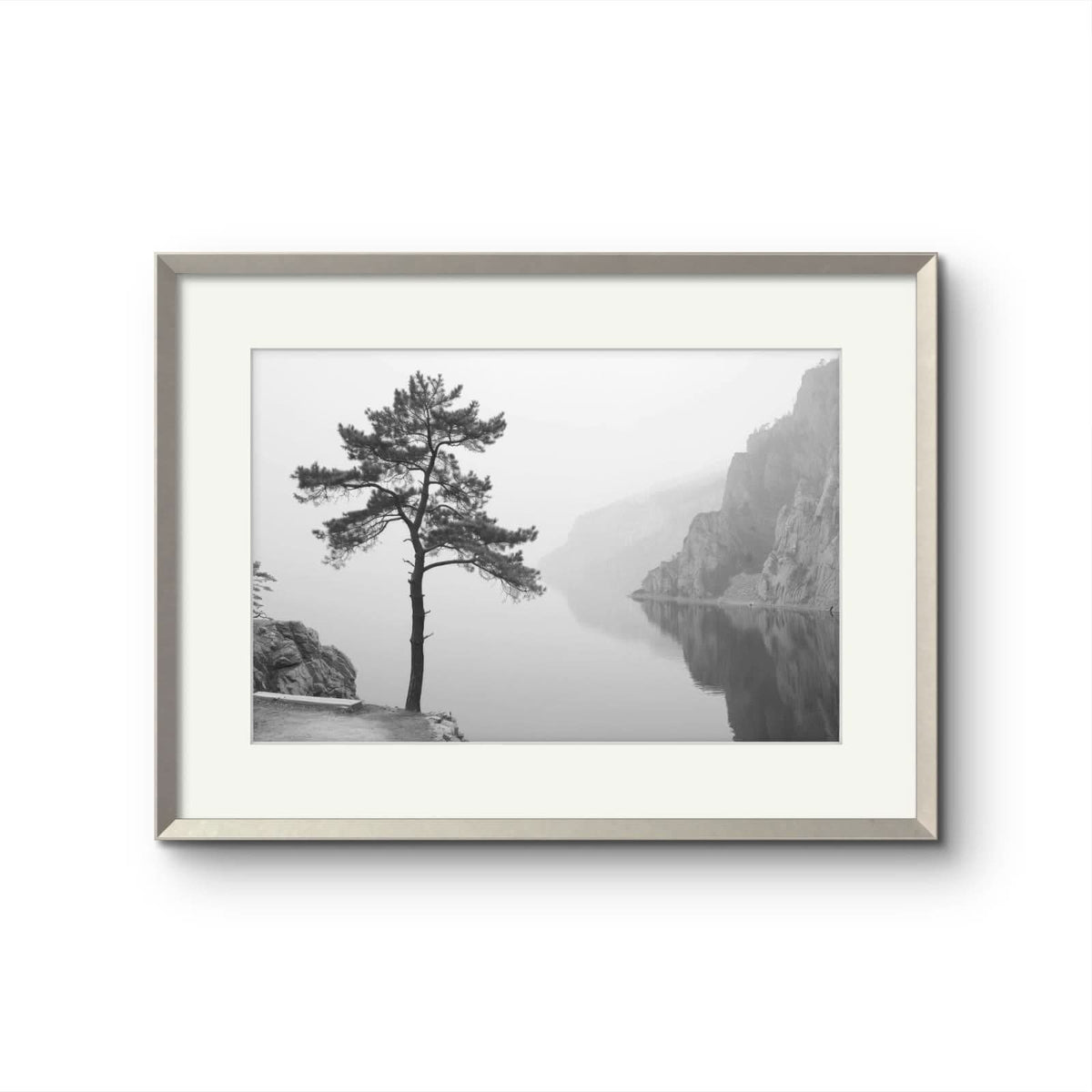 Tree on a lake