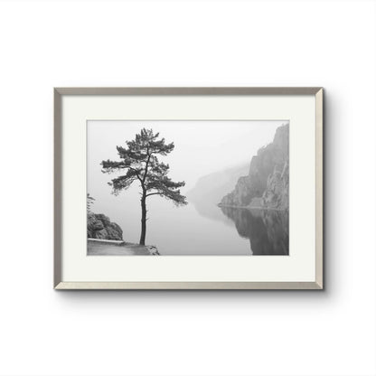 Tree on a lake
