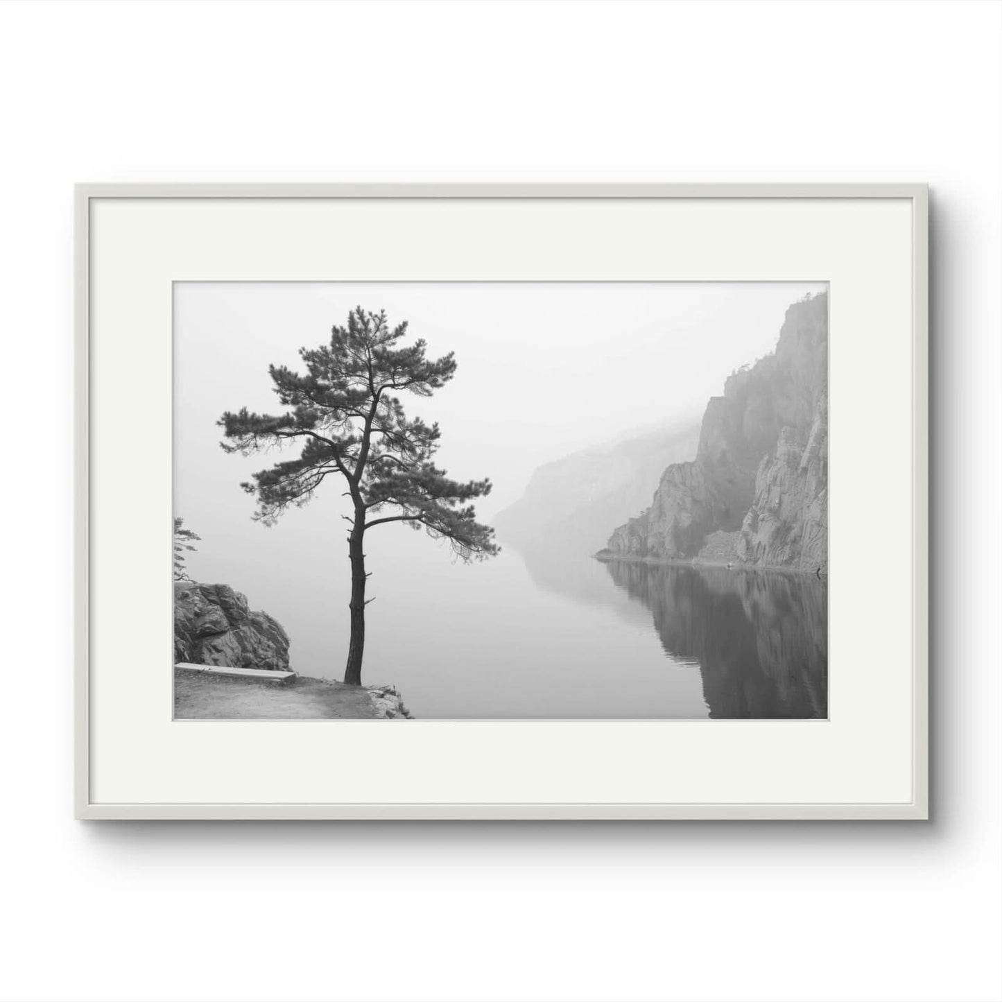 Tree on a lake