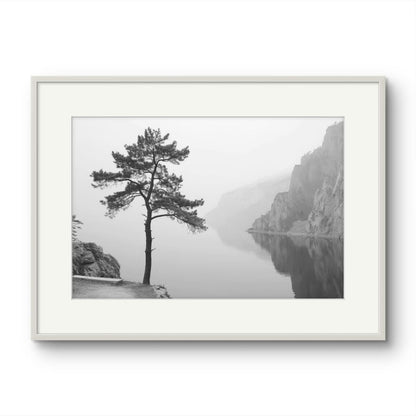 Tree on a lake