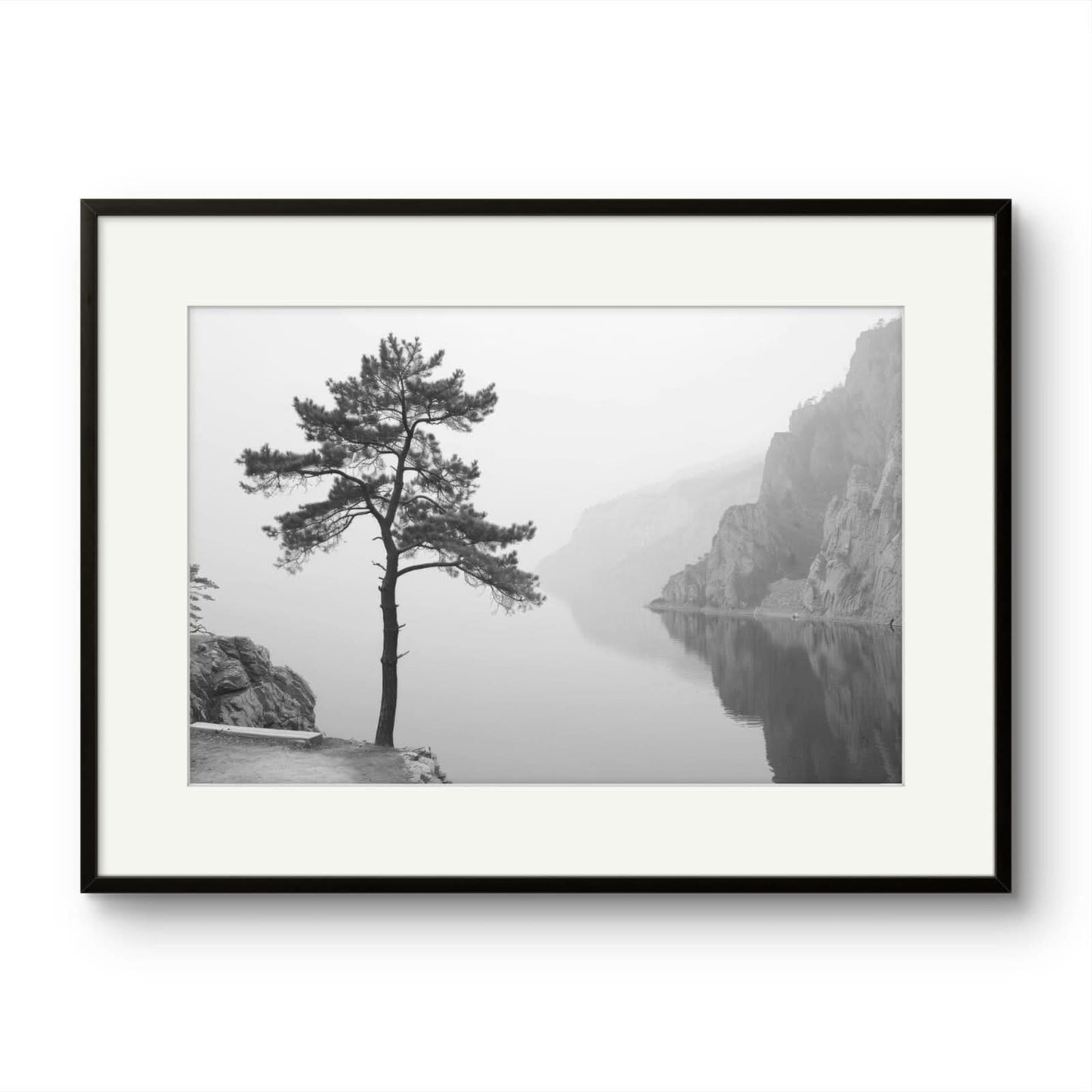 Tree on a lake