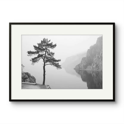 Tree on a lake