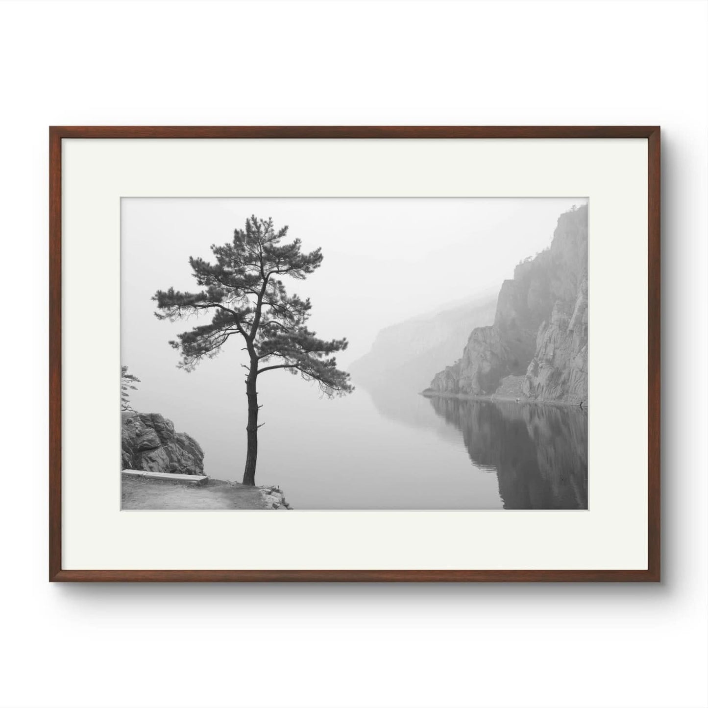 Tree on a lake