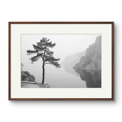 Tree on a lake