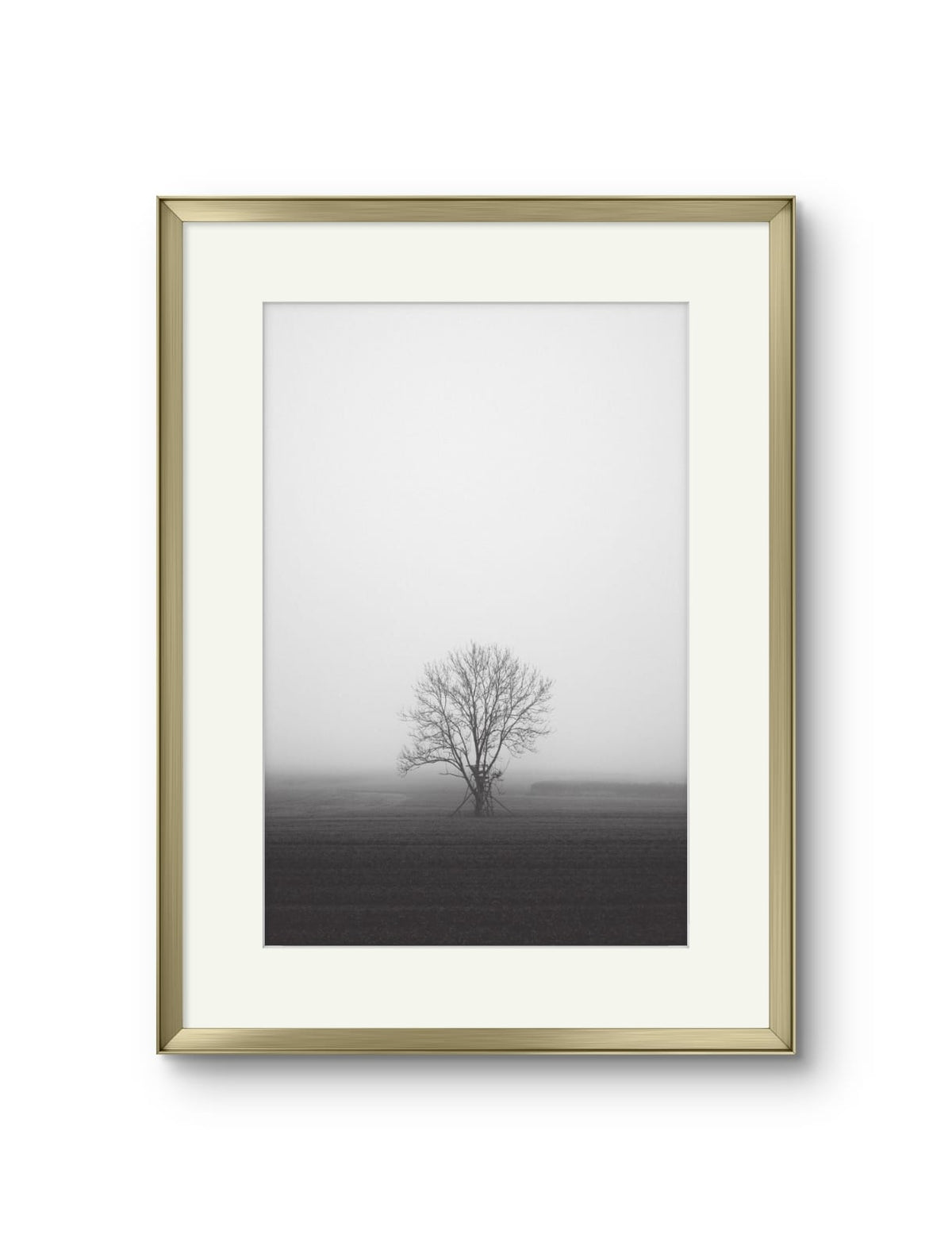 Lone Tree