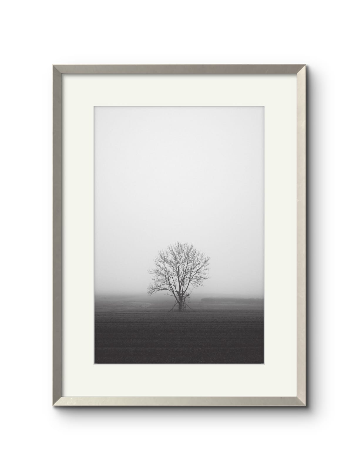Lone Tree