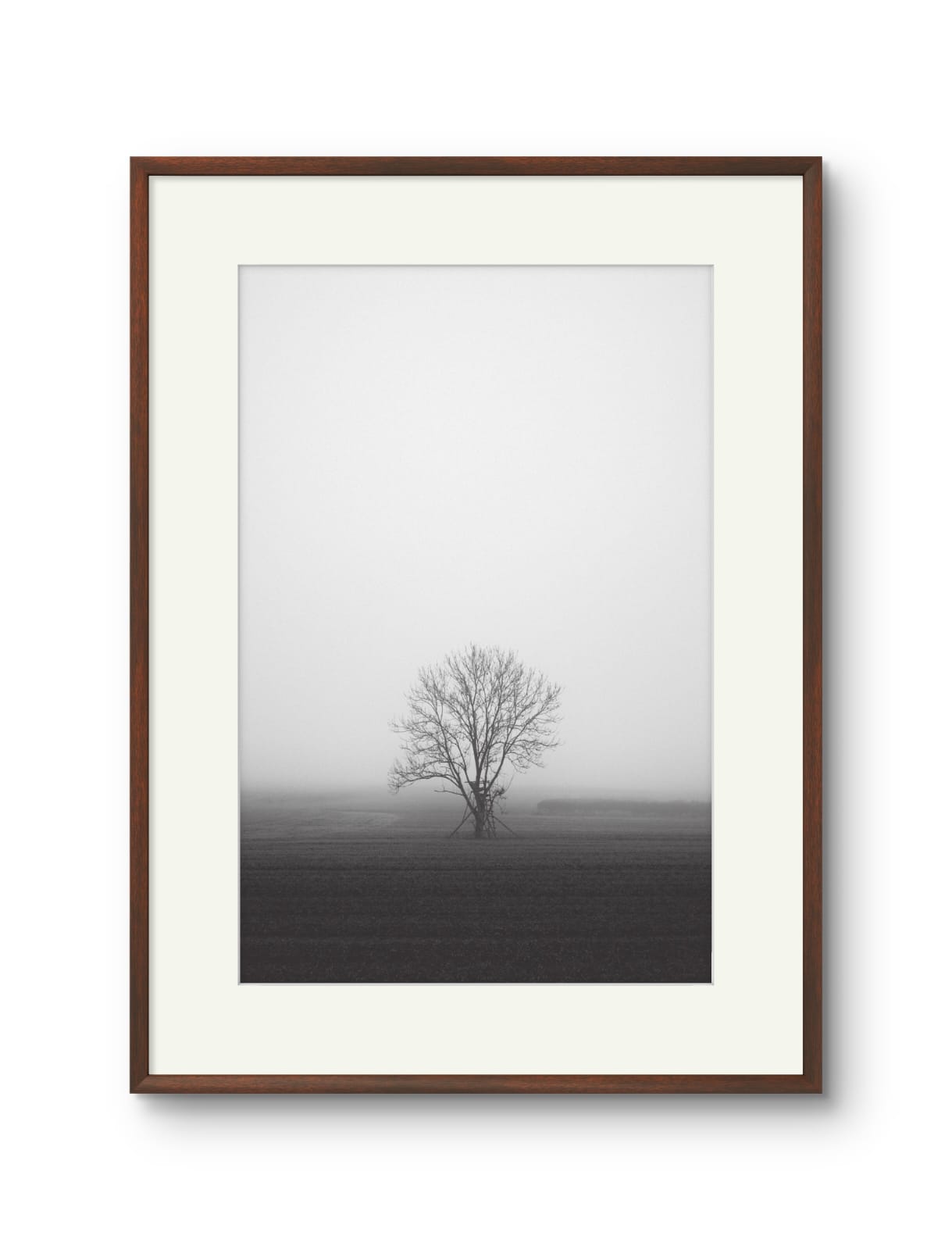 Lone Tree