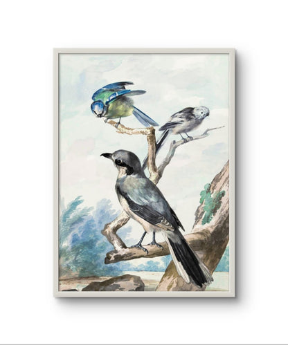 Three Birds – Premium Abstract Art Print