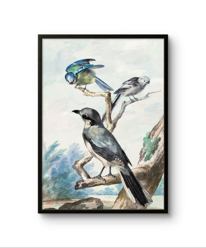 Three Birds – Premium Abstract Art Print