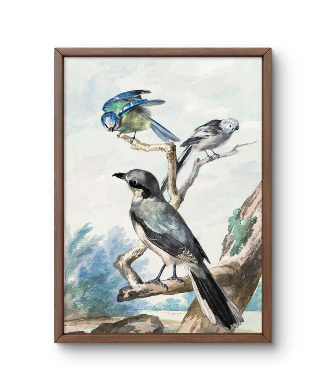 Three Birds – Premium Abstract Art Print