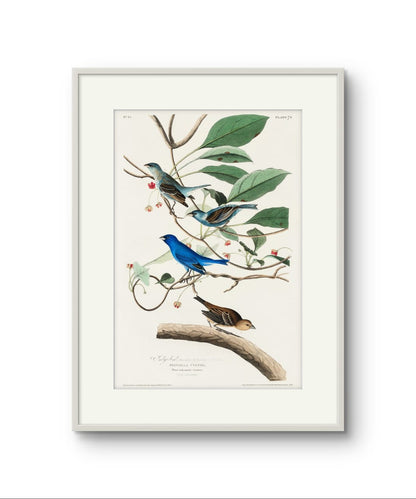 Indigo Bird – Premium Abstract Art Print