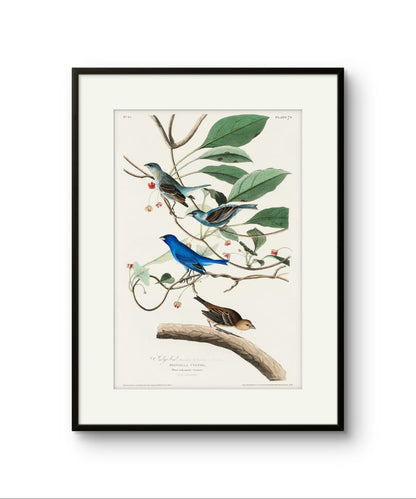 Indigo Bird abstract art print featuring gold and silver tones