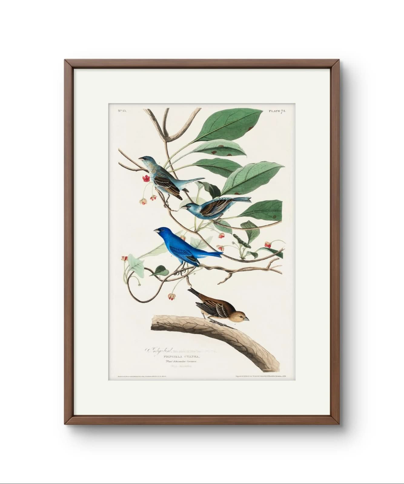 Indigo Bird – Premium Abstract Art Print