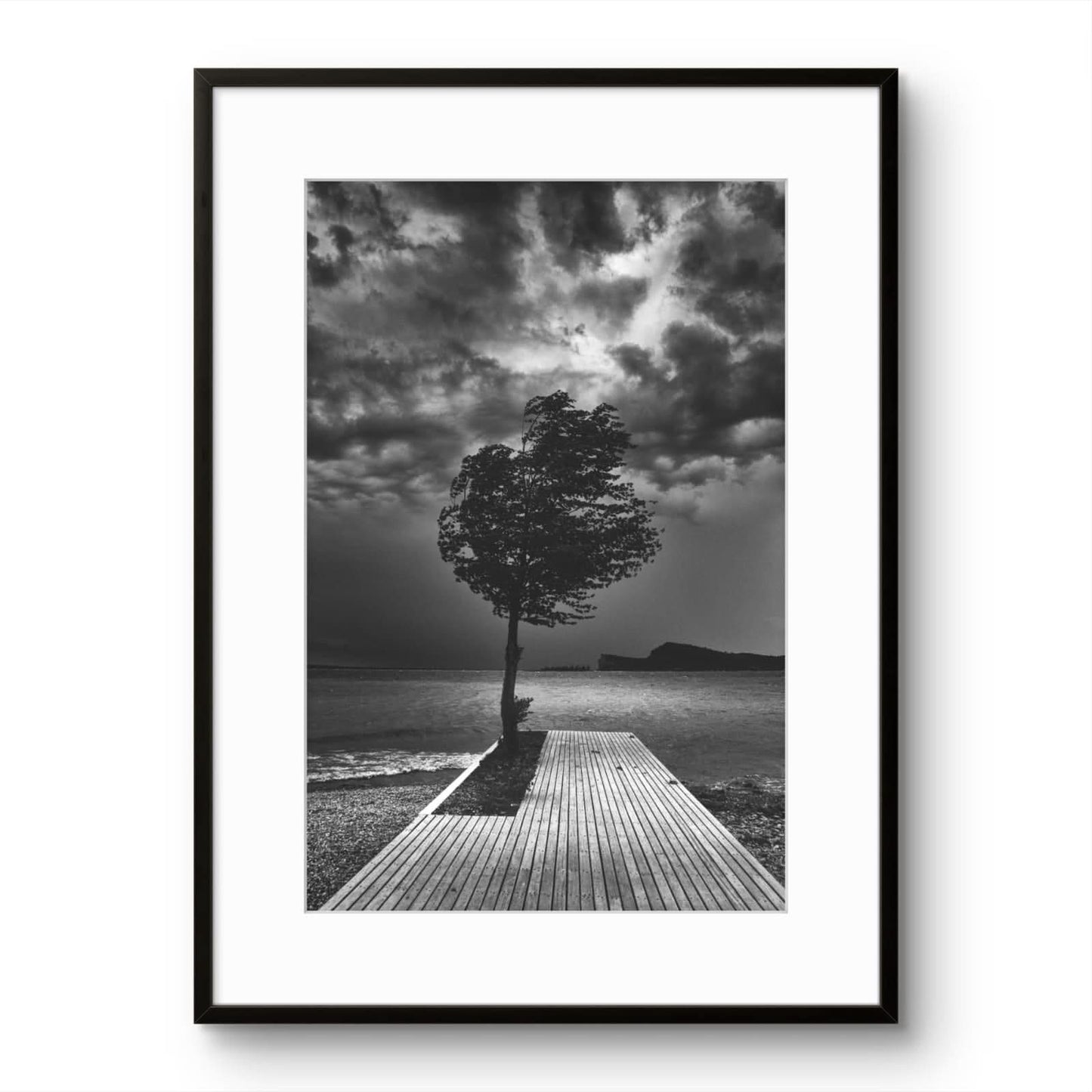 Windy Seaside