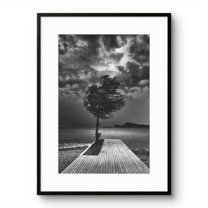 Windy Seaside