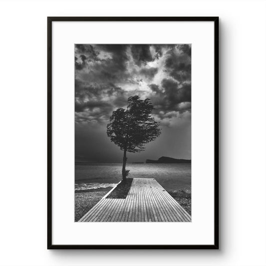 Windy Seaside