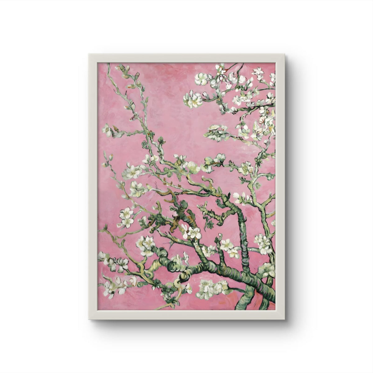 Pink Blossoms