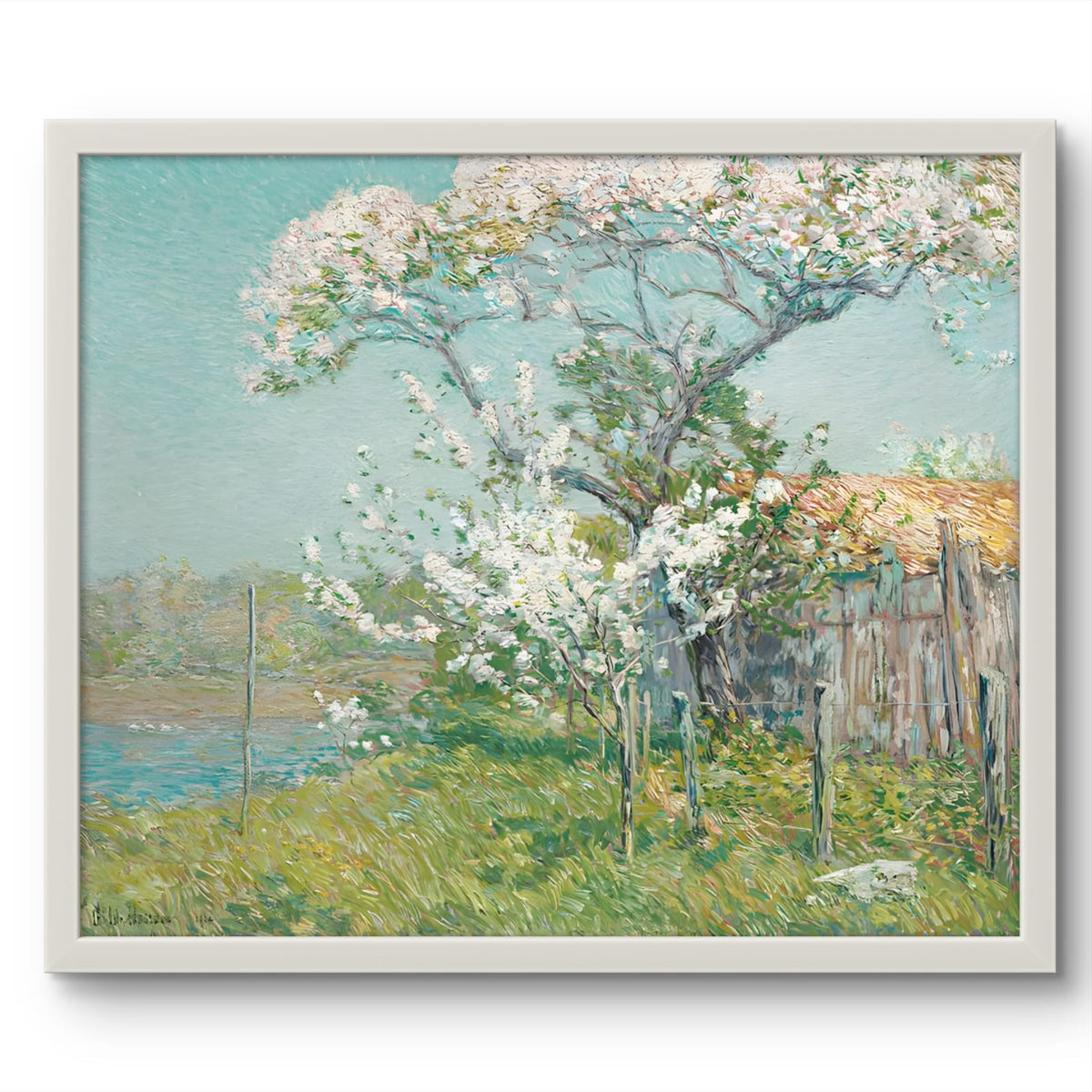 Apple Tree in Bloom