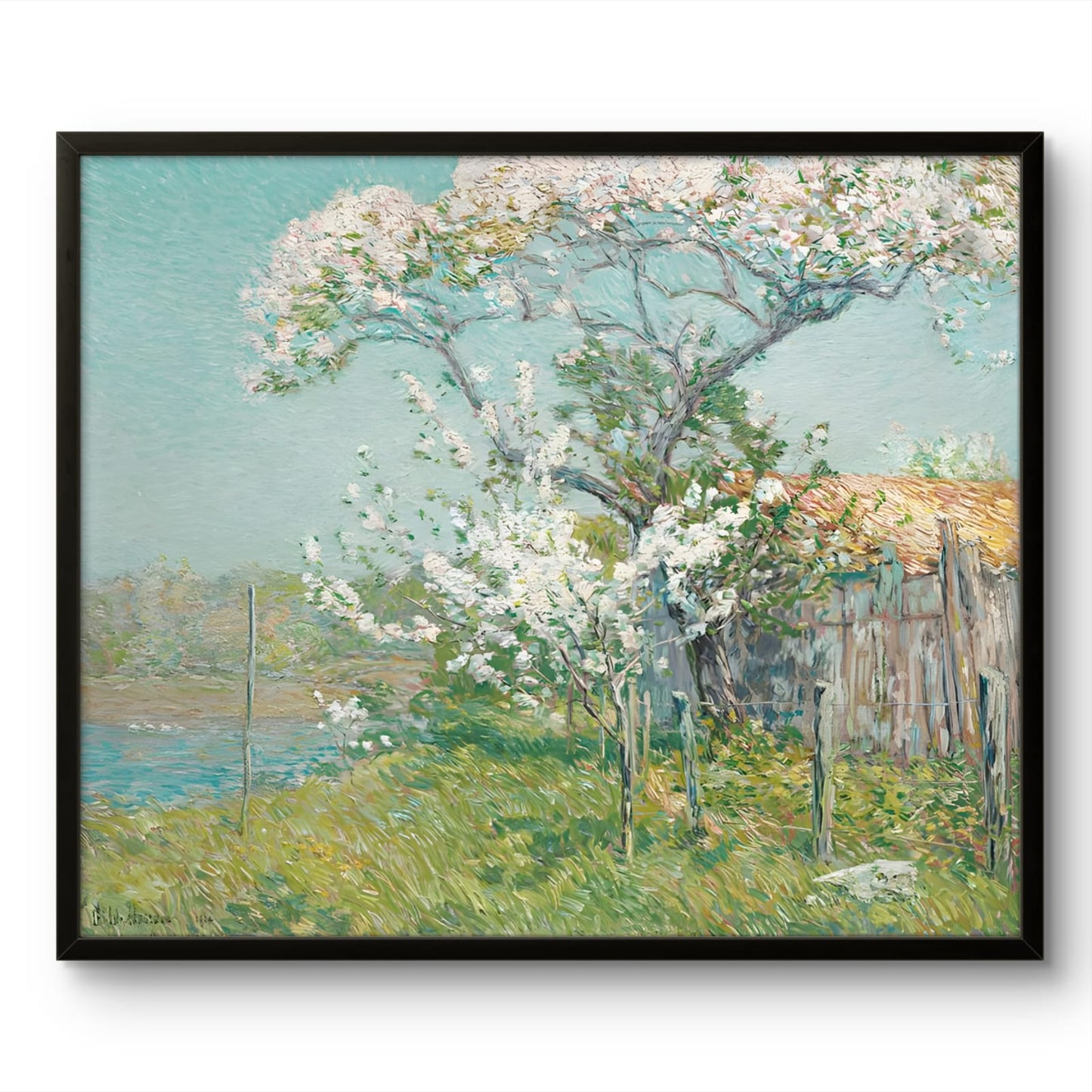 Apple Tree in Bloom