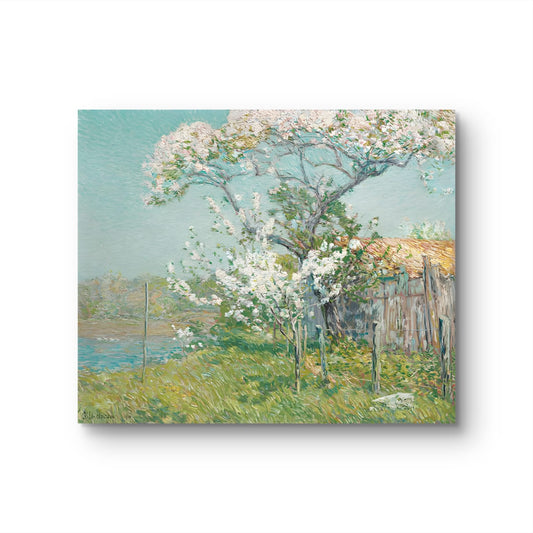 Apple Tree in Bloom