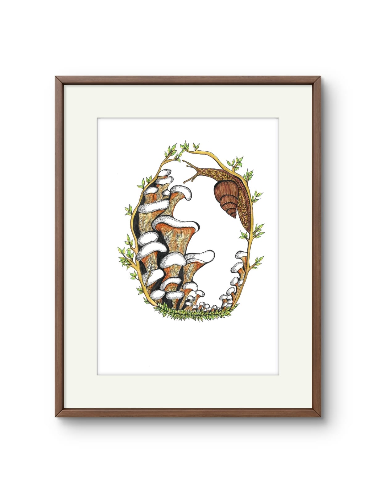 Mushroom & Snail