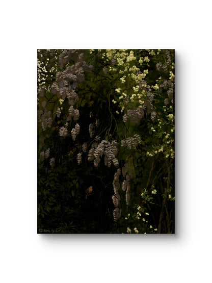 Wisteria in Bloom