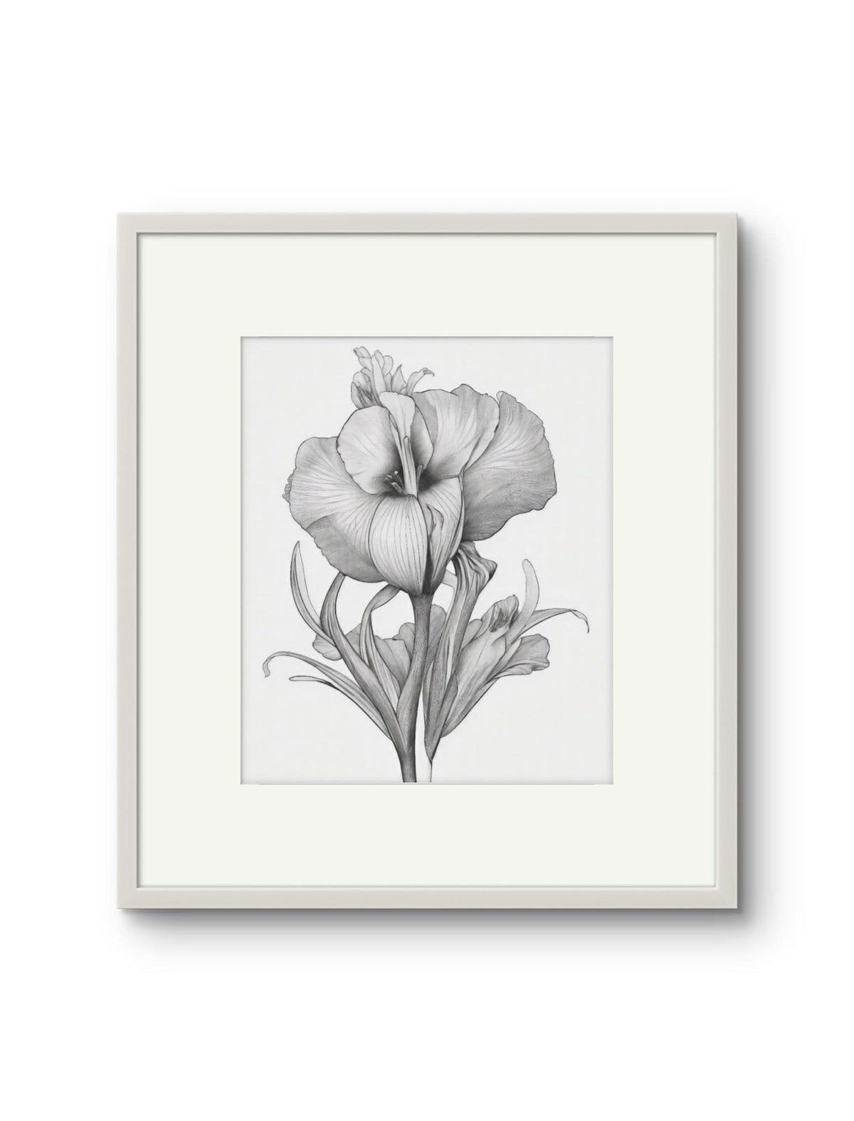 Vintage Illustrated Hibiscus