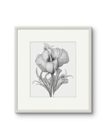 Vintage Illustrated Hibiscus
