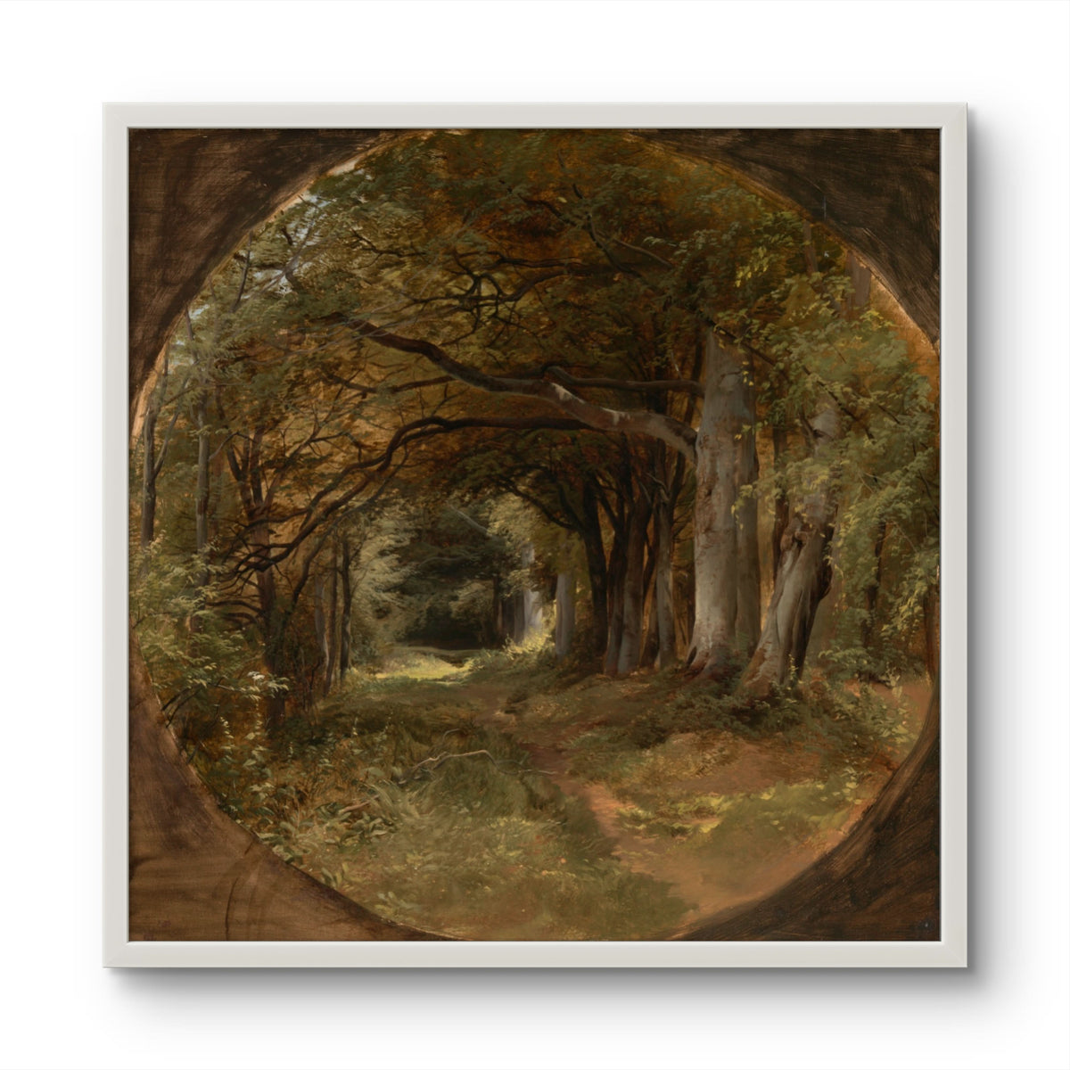 Landscape (Gunton Park, Beech Glade) - John Middleton