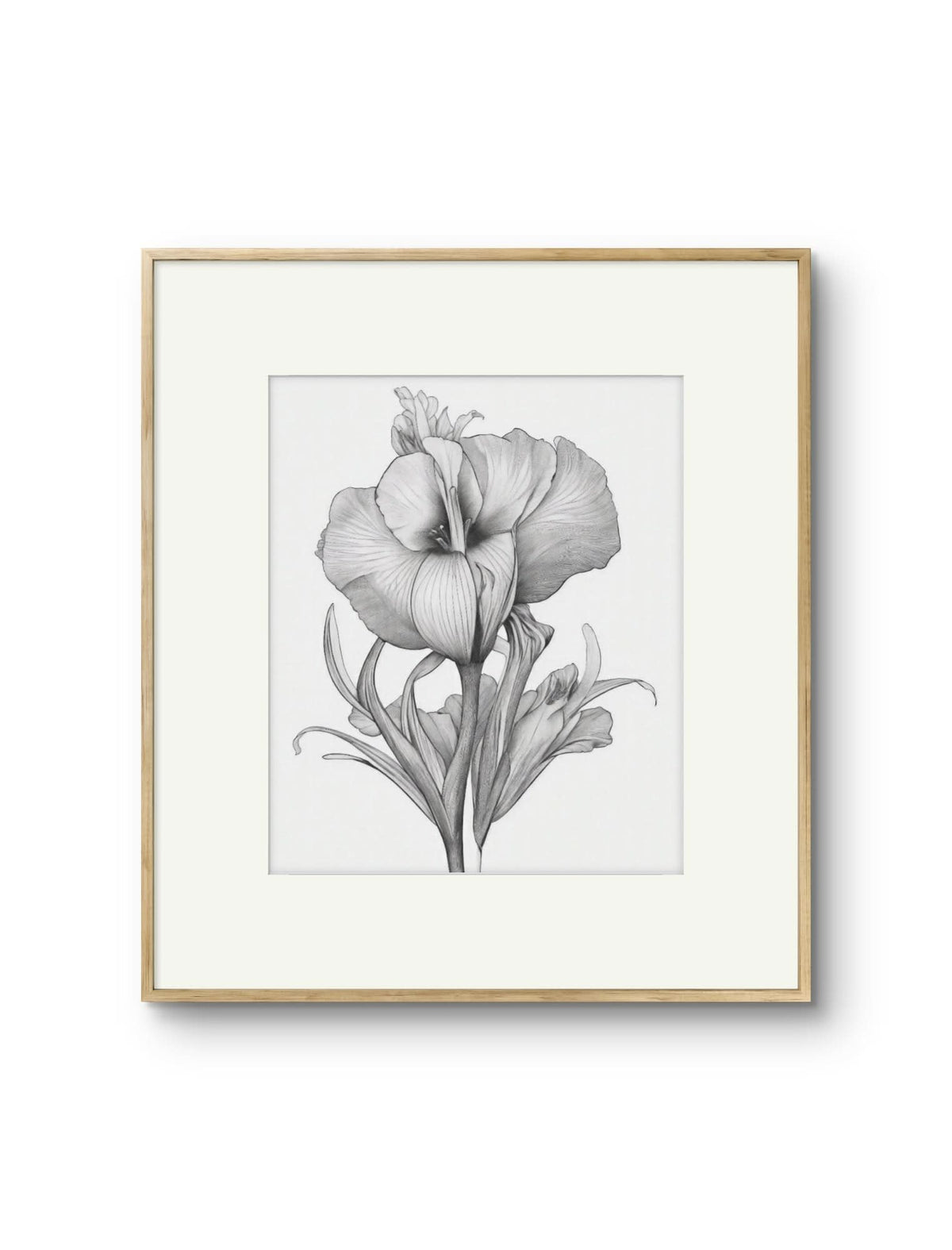 Vintage Illustrated Hibiscus