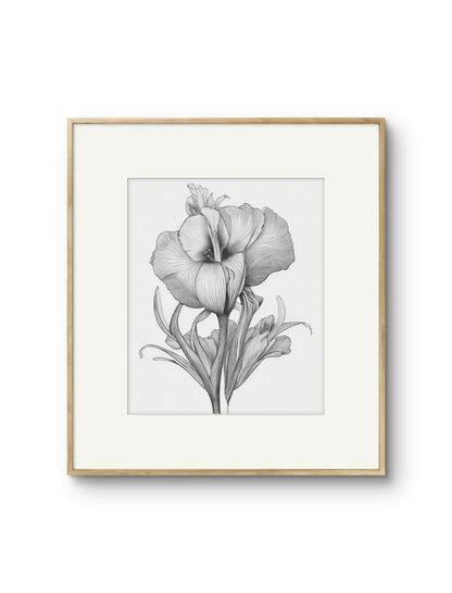 Vintage Illustrated Hibiscus