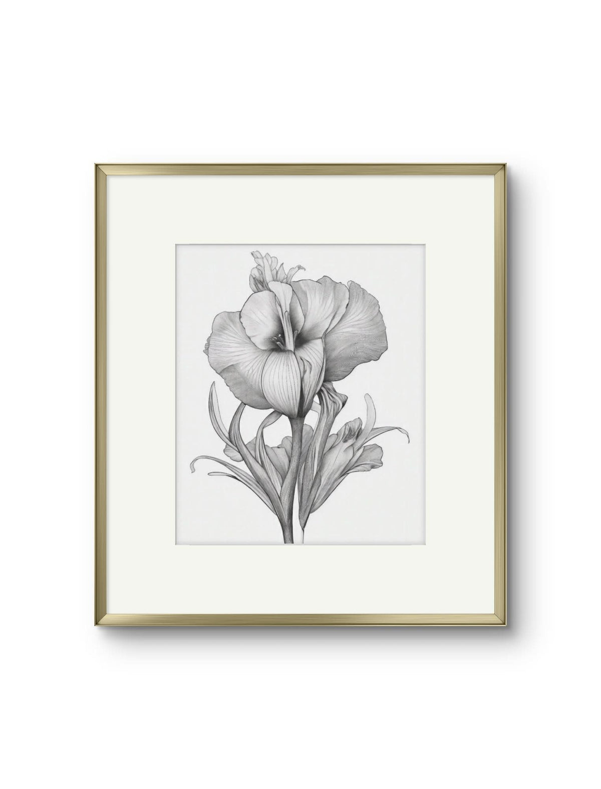Vintage Illustrated Hibiscus