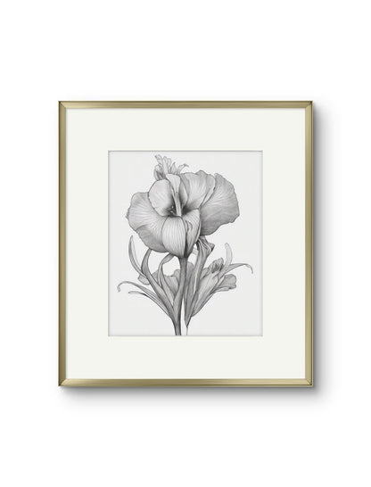 Vintage Illustrated Hibiscus