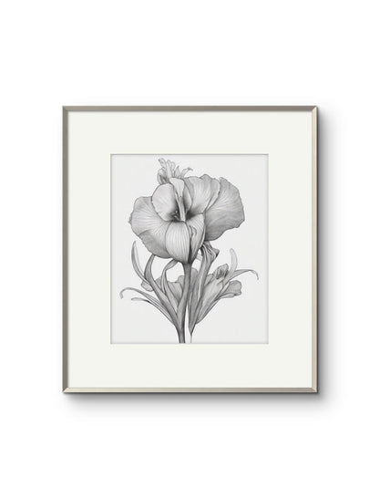 Vintage Illustrated Hibiscus