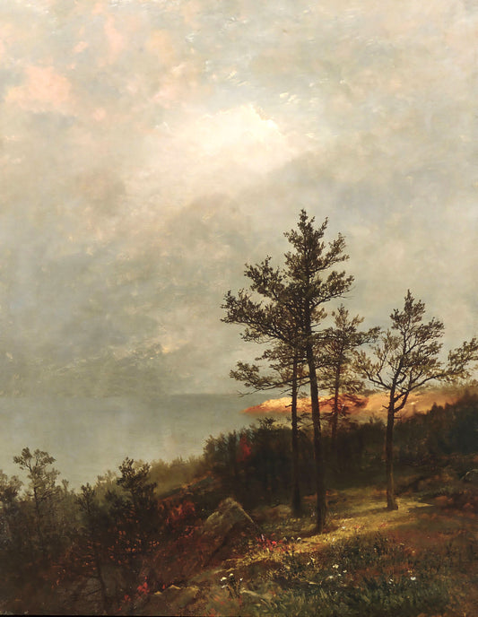 Lone Tree on A Hillock