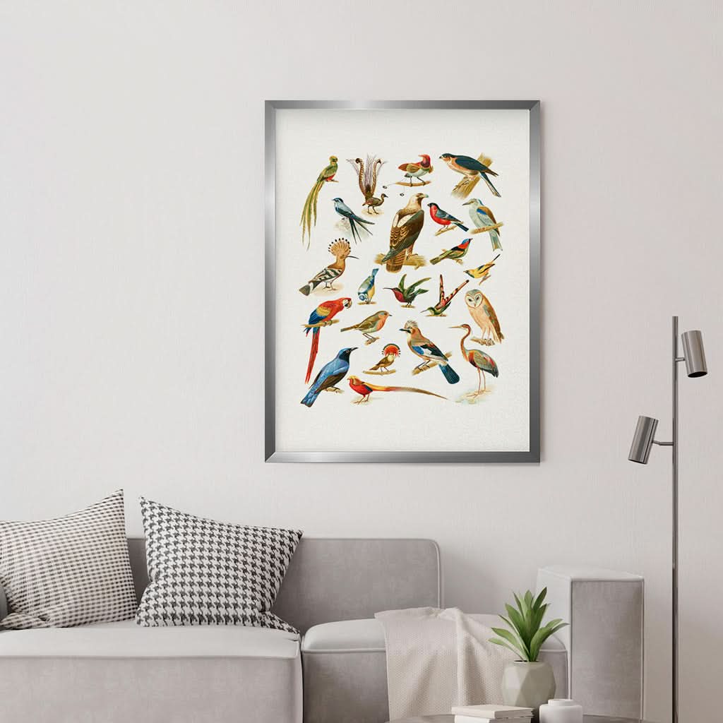 An assortment of birds