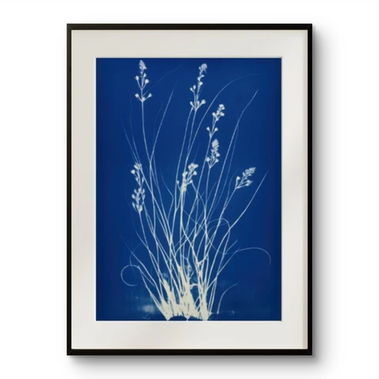 Indigo Wildflowers