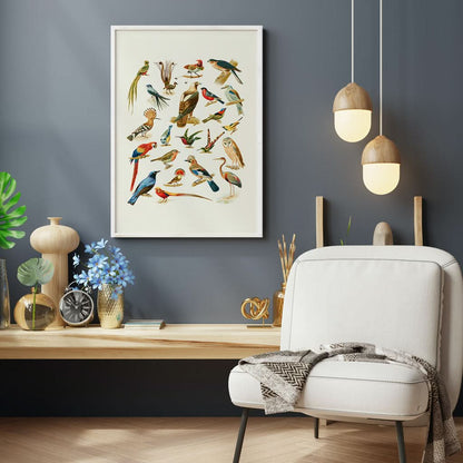An assortment of birds