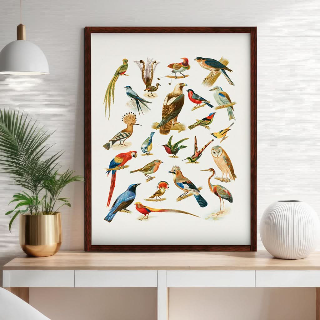 An assortment of birds
